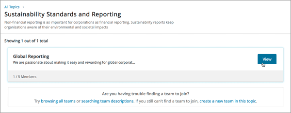 View of a team within a topic showing name and description, number of members.