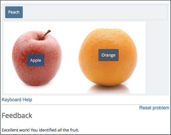 An example of a simple drag and drop problem. The problem is complete and the final feedback message appears below the background image.