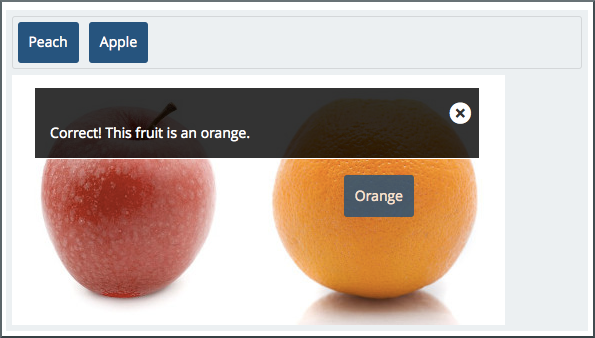 An example of a simple drag and drop problem. The success feedback message appears above the background image.