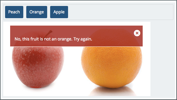 An example of a simple drag and drop problem. The error feedback message appears over the background image.